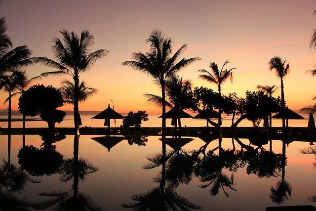 Bali, Indonesia. source : https://pixabay.com/photos/bali-palm-trees-sunset-travel-2975787/