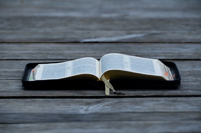 Penulisan huruf kapital yang benar. Foto: Unsplash