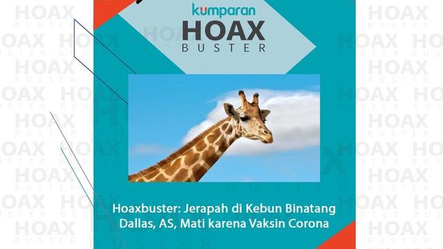 Hoaxbuster: Jerapah di Kebun Binatang Dallas, AS, Mati karena Vaksin Corona Foto: Pixabay