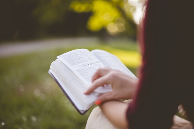 Ilustrasi Mazmur 103 dalam Alkitab Foto: Unsplash