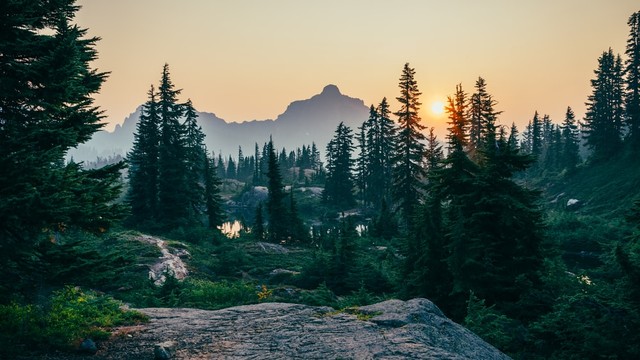 Ilustrasi cagar alam sebagai kawasan konservasi. Sumber: Unsplash