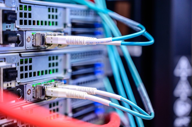 Ilustrasi penggunan LAN atau Local Area Network. Foto: Pexels.