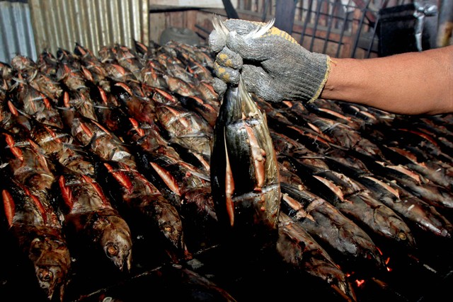 Pedagang mengolah ikan asar (ikan cakalang asap) di Pasar Sentral Hamadi, Jayapura, Papua, Senin (15/11). Foto: Gusti Tanati/Antara Foto