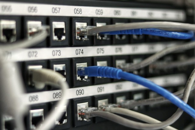 Pengertian, sejarah, jenis-jenis, dan fungsi dari ethernet. Foto: Unsplash