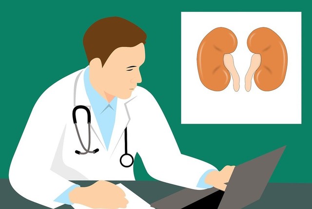 Ilustrasi Fungsi Glomerulus. (Foto: https://pixabay.com/id/)
