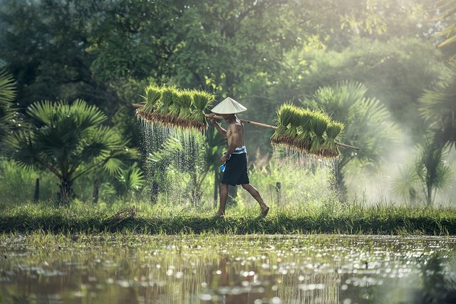 Ilustrasi Kisah Putri Tangguk. (Foto: https://pixabay.com/id/)