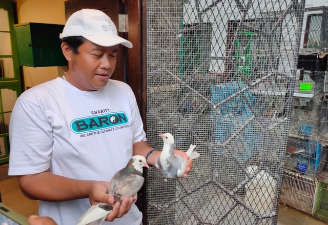 Om Yun memegang merpati kolong yang dibeli dengan harga Rp 2 miliar.