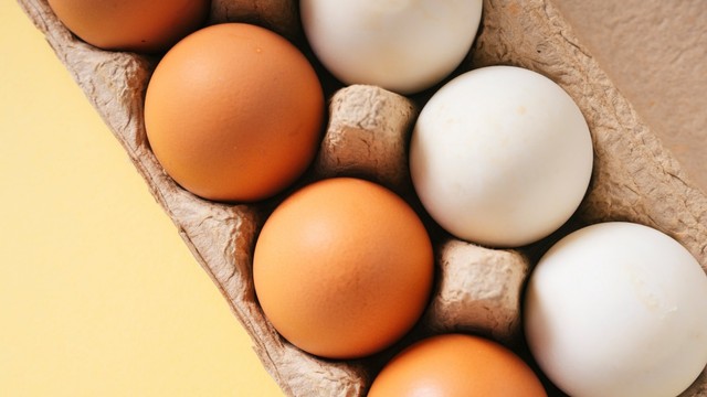 Ilustrasi telur Foto: Shutter Stock