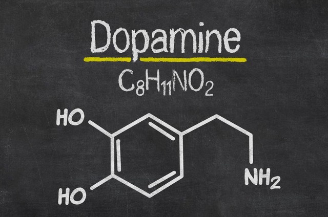 Ilustrasi dopamine. Foto : Pinterest