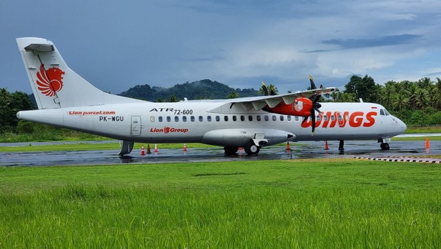 Ilustrasi pesawat Wings Air Foto: Dok. Wings Air