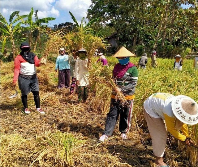 Sumber: Dokumentasi pribadi.