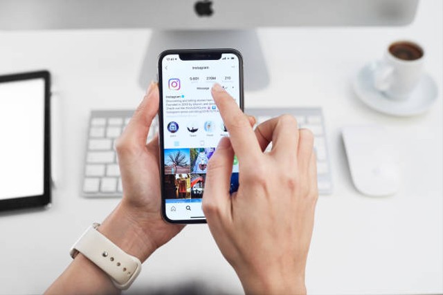 Cara Cek Stalker IG yang Praktis dan Mudah. Foto: iStock