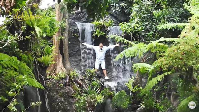 Aviary Milik Irfan Hakim. Foto: YouTube/deHakims Aviary