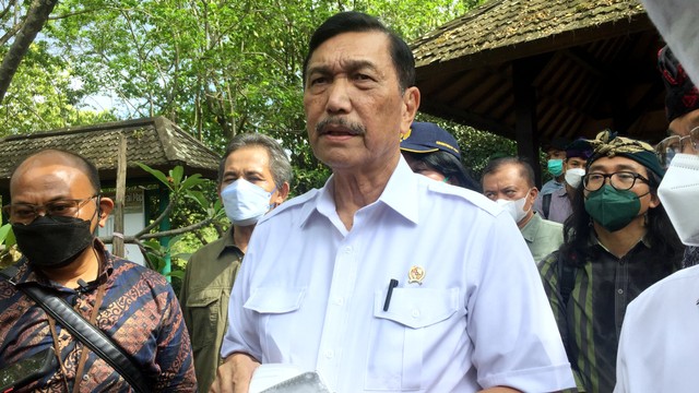 Koordinator PPKM Jawa-Bali Luhut Binsar Pandjaitan . Foto: Denita BR Matondang/kumparan