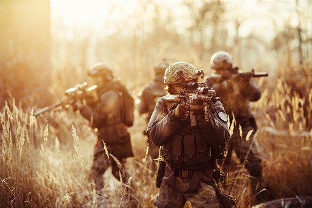 6 Puisi Cita-citaku Menjadi Tentara, Foto: Pixabay