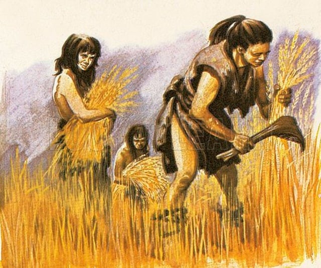 Ilustrasi Homo sapiens, manusia purba yang hampir sama dengan manusia modern. Foto: Freepik 