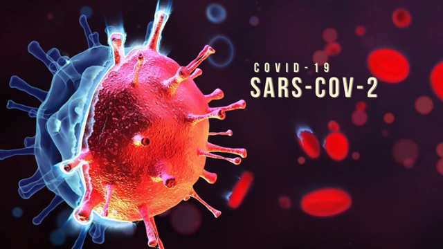 Ilustrasi Virus COVID-19. Sumber foto : Milik Pribadi