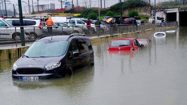Ilustrasi mobil terendam. Foto: Vincent West/REUTERS