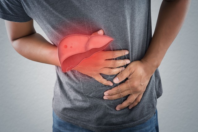 Ilustrasi penyakit hati atau liver. Foto: Shutter Stock