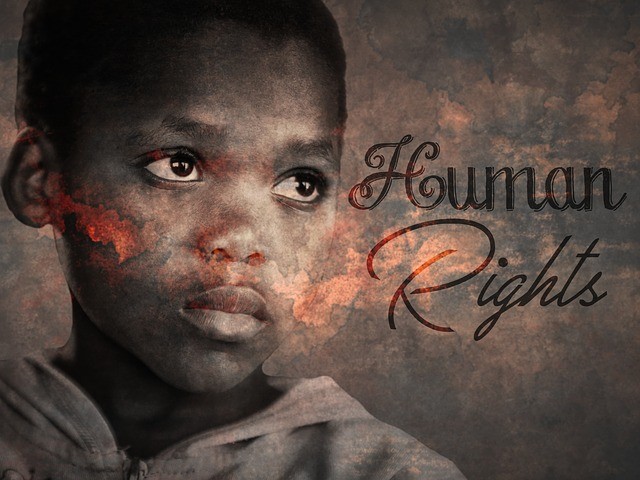 Ilustrasi Upaya Penegakan Hak Asasi Manusia. Foto: Pixabay