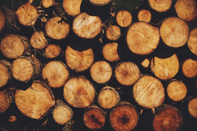 Ilustrasi campuran warna coklat, sumber foto: (Gemma F Redondo) by Unsplash.com