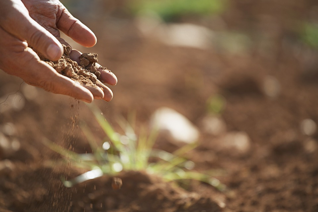 Erosi tanah adalah fenomena alam yang dapat menyebabkan terjadinya peurunan produktivitas tanah. Foto: Pixabay.com 