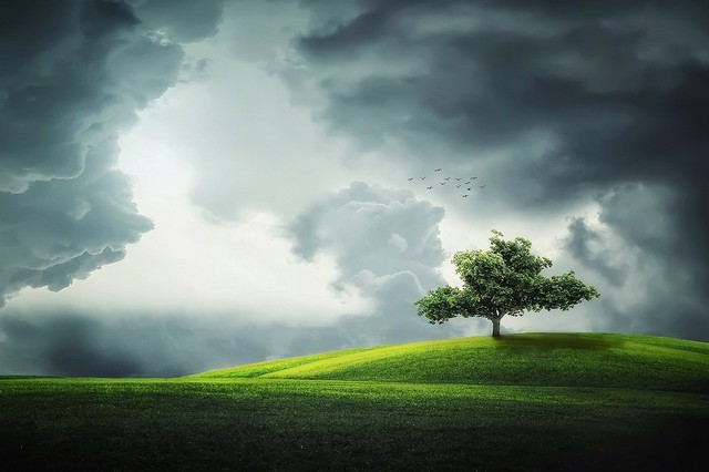 Ilustrasi awan yang mendatangkan hujan. Foto: Pixabay