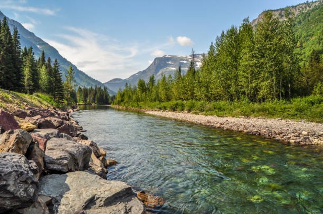 Ilustrasi Sungai. Foto: iStock