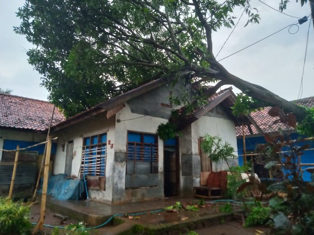 Sejumlah pohon tumbang di Kabupaten Kuningan, Jawa Barat, menimpa rumah warga hingga badan jalan. (Foto: BPBD Kuningan)