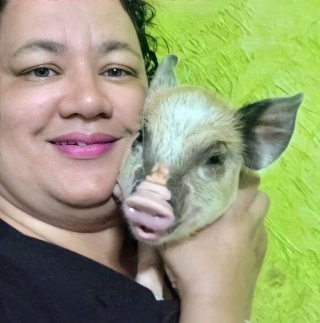 Lilica si babi berbobot 250 kg ketika masih kecil. (Foto: @lilica_pig/boredpanda)