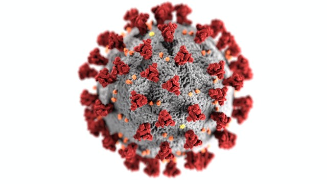 Ilustrasi Virus ARS-CoV-2. Sumber : Pixels (CDC)