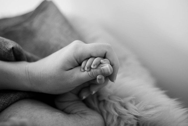 Sejarah Hari Ibu, Foto: RebeccasPictures via Pixabay.com 