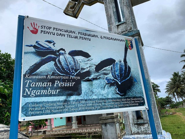 Gapura masuk ke Penangkaran Penyu Muara Tembulih Kabupaten Pesisir Barat, Jumat (17/12) | Foto : Sidik Aryono/Lampung Geh