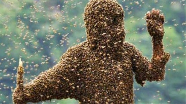 Ilustrasi diserang tawon. Foto: Istimewa