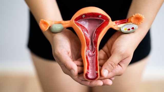 Yang Perlu Ditanyakan pada Dokter Sebelum Lakukan Pengangkatan Rahim. Foto: Shutterstock