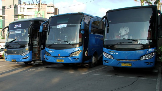 Ilustrasi Bus Damri. Foto: ANTARA FOTO/Risky Andrianto