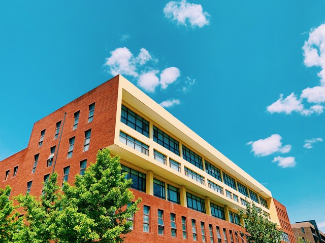 Syarat masuk STAN 2022, sumber foto: (V Lionel) by Unsplash.com