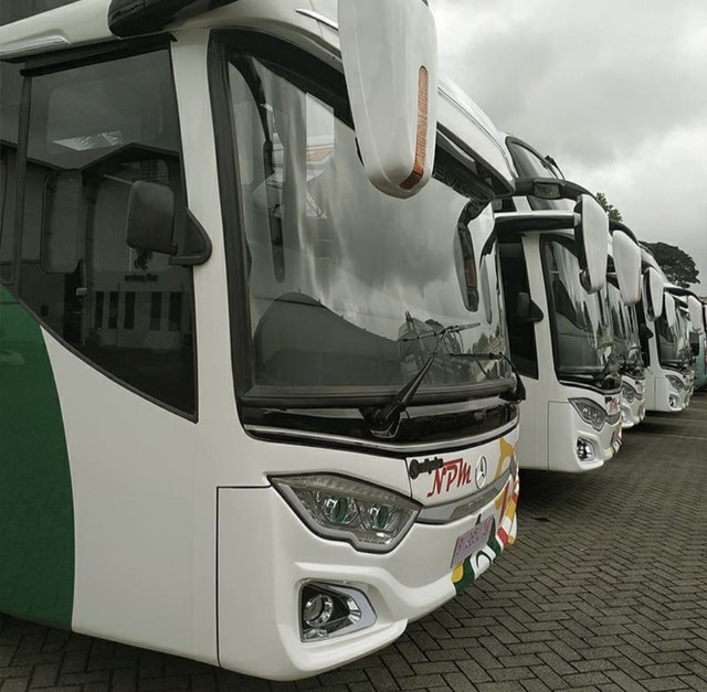 Bus baru PO NPM garapan Adi Putro. Foto: dok. Adi Putro