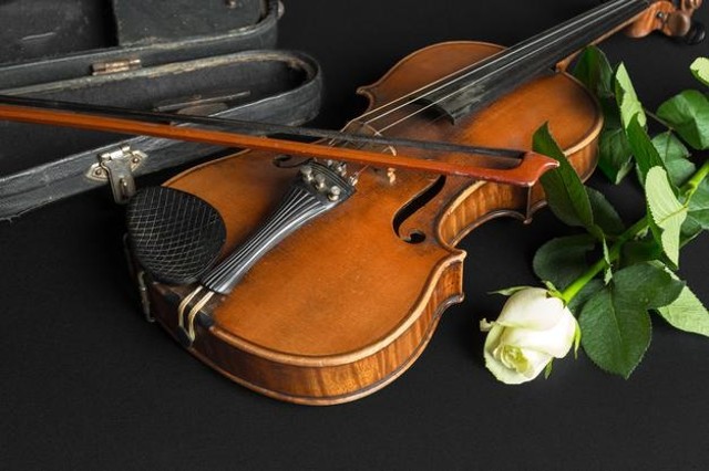 Alat Musik Orkestra. Foto: Freepik