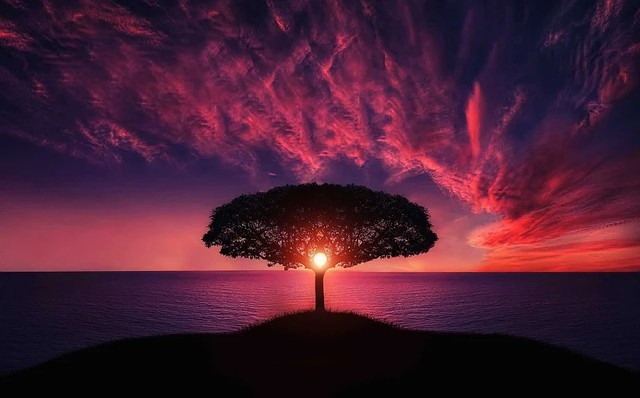 senja kemerahan disana sangat memukau siapa saja yang melihatnya namun sayang kehadirannya hanya sesaat. https://pixabay.com/id/photos/pohon-matahari-terbenam-awan-langit-736885/