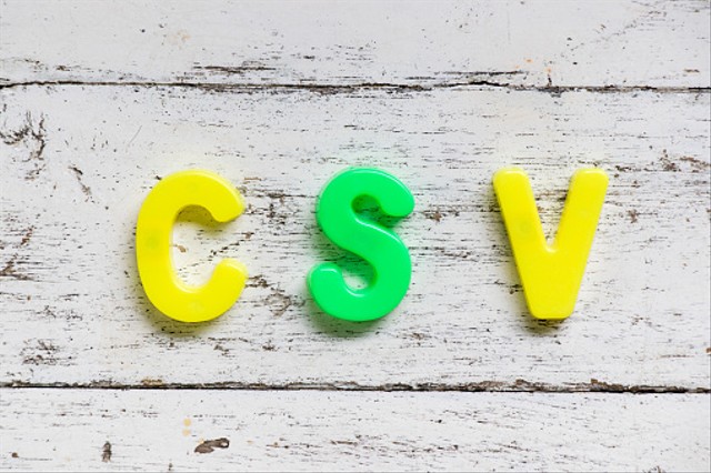 Ilustrasi CSV. Foto: Unsplash.com