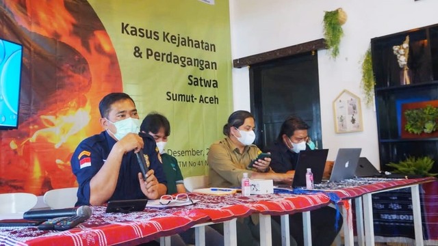 Press Konpres catatan akhir tahun konflik satwa liar. Foto: Dok. Istimewa
