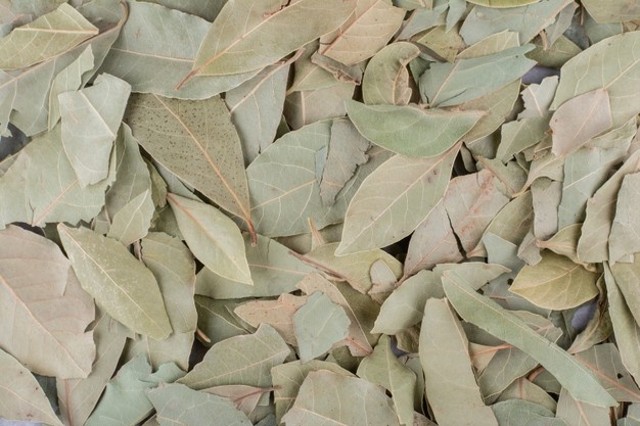 Daun Salam Kering. Foto: Freepik