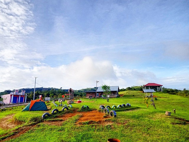 Hamparan rumput hijau di Bukit Bawang Bakung Lampung Barat, Rabu (29/12) | Foto : Sidik Aryono/ Lampung Geh