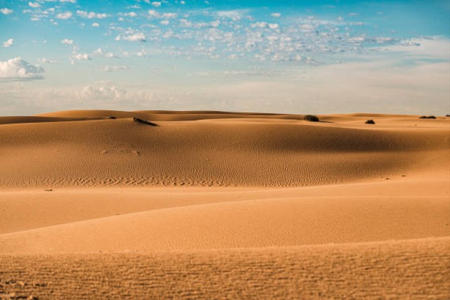 Gurun Pasir. Foto: iStock