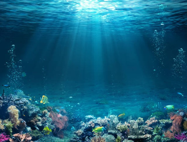 Ilustrasi zona fotik. Foto: iStock