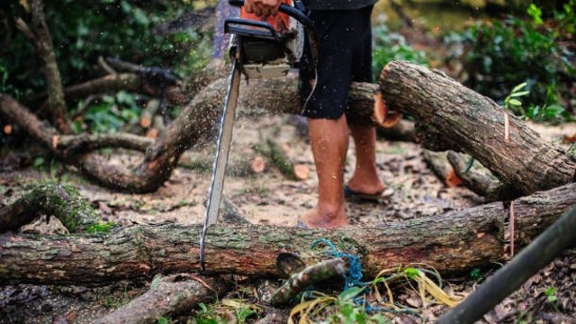 Sumber: https://unsplash.com/s/photos/deforestasi-hutan-indonesia