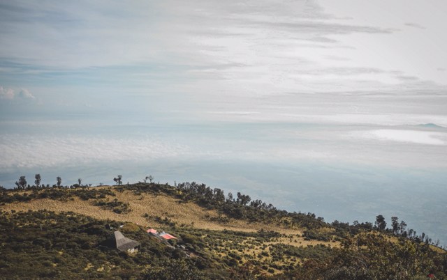Pemandangan Hargo Dalem dilihat dari Puncak Hargo Dumilah. (Dok. Pribadi)
