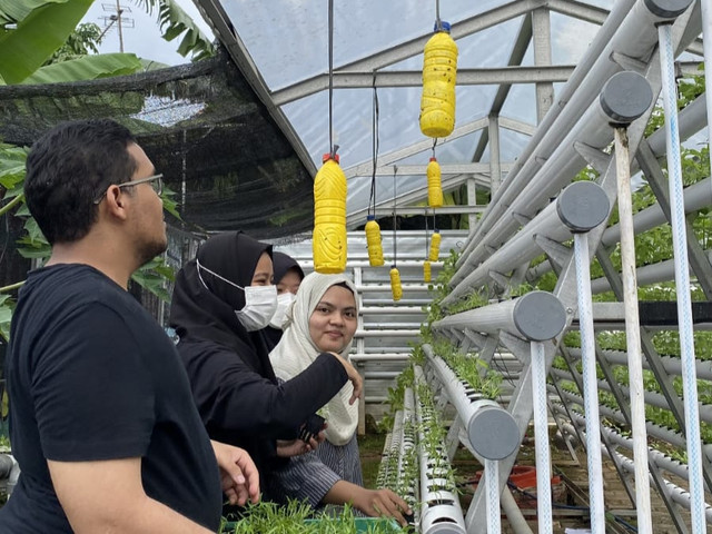 Mahasiswa KKM-DR UIN Malang kelompok kerja "Elite" melakukan proses penanaman tanaman hidroponik.