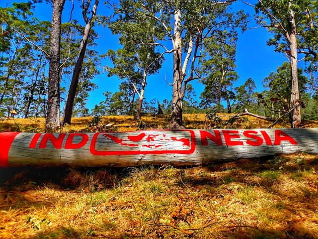 Keterangan Foto: Bukit Andalan yang ditumbuhi pepohonan khas kawasan gunung berapi. 